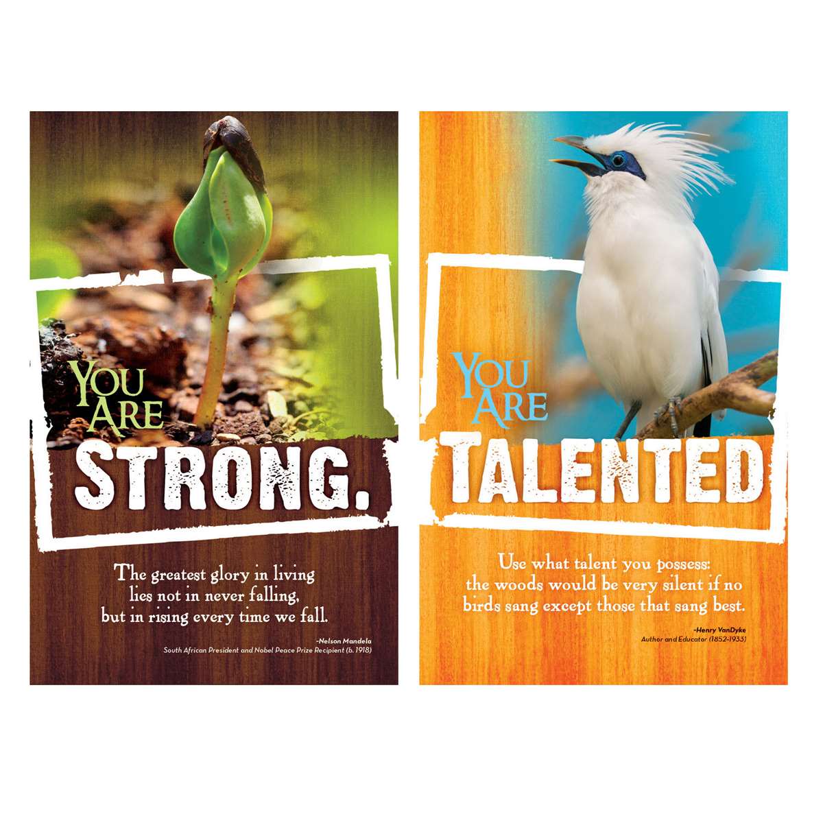 618-3173 Product Image 4