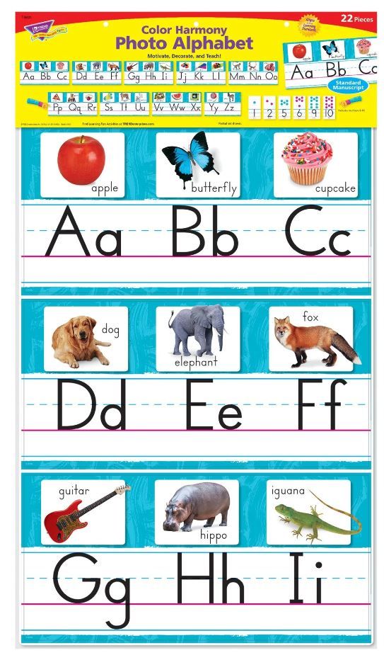 Image of Photo Alphabet Bulletin Board Set