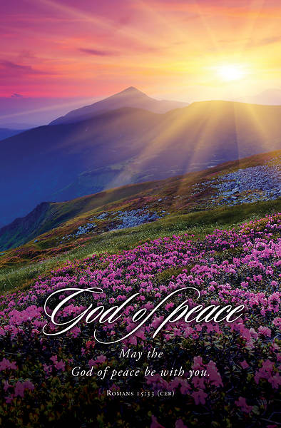 619-0235 Product Image 1