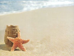 Image of Summer at the Beach Attendance Chart