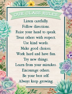 Image of Rustic Bloom Our Class Rules Chart