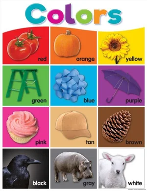 Colours Chart Colorful 17" x 22""