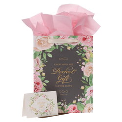 Image of Gift Bag w/ Card LG Portrait Every Good & Perfect Gift James 1:17