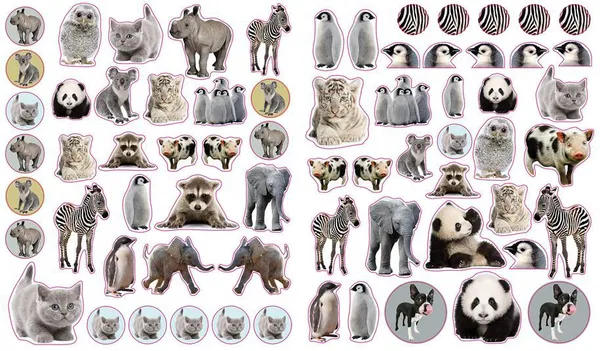 640-0007 Product Image 3