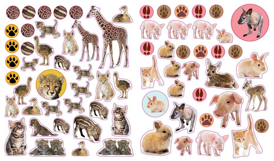 640-0007 Product Image 4