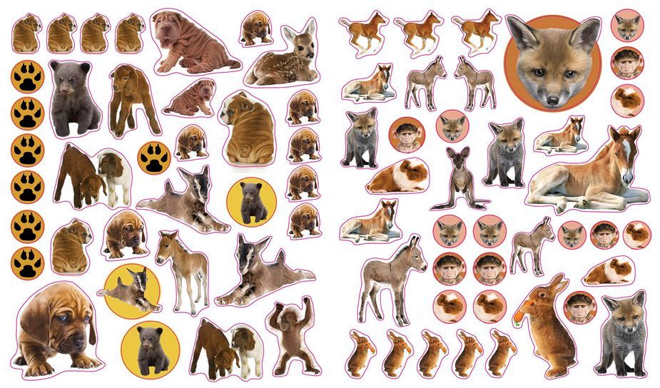 640-0007 Product Image 5