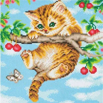 640-0042 Product Image 1