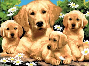 Paint by Number | Golden Retriever Puppies