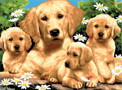 Image of Paint by Number | Golden Retriever Puppies