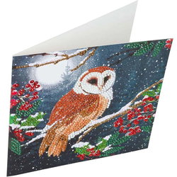 Image of CA Card Kit: Barn Owl