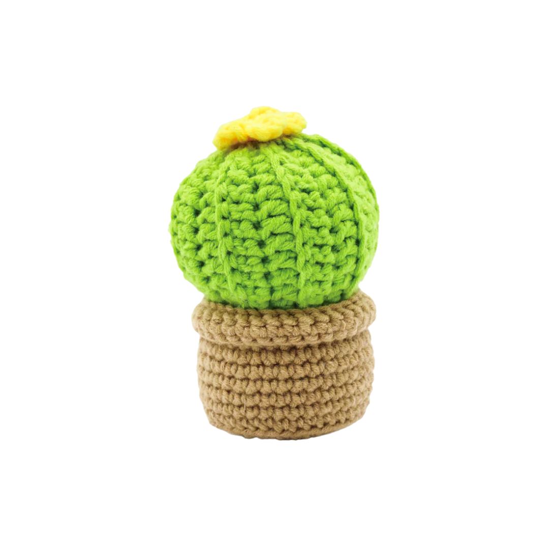 Image of Crochet Kit – Small Cactus DIY – No ETA