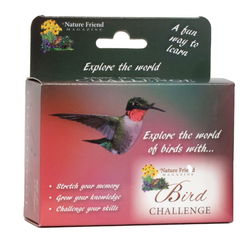 Image of Bird Challenge Game