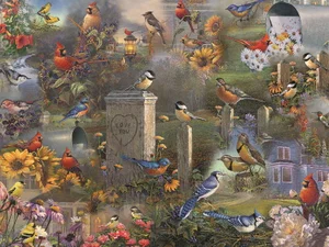 Songbird Collage - 1000pc Puzzle