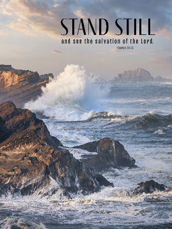 Image of Stand Still- 1000pc Puzzle