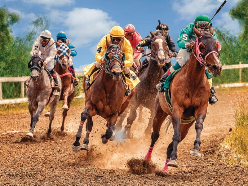 654-0155 Product Image 1