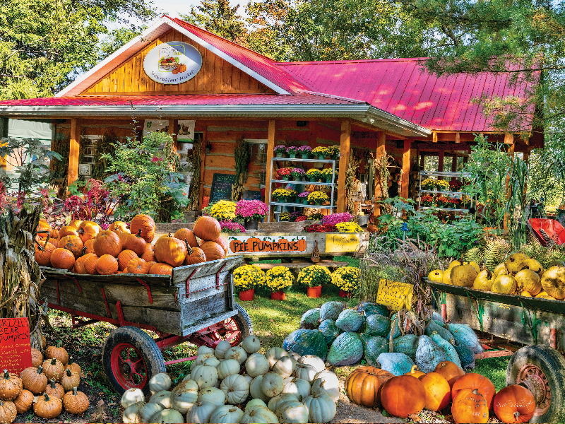 Image of Puzzle Fall Harvest Farm Market 1000 Pc