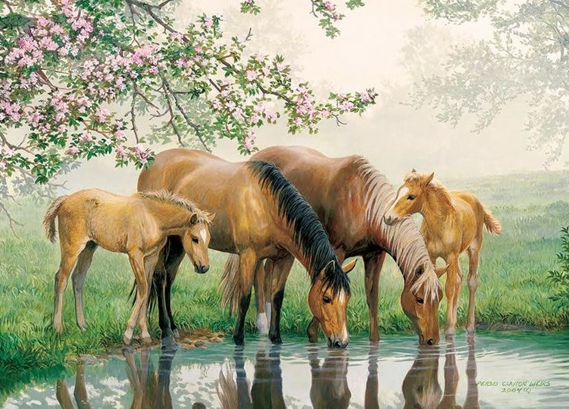 654-0200 Product Image 1