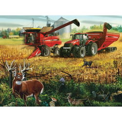 Image of 1000 Pc Puzzle – Teamwork