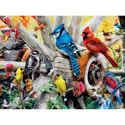 Image of 1000 Pc Puzzle – Backyard Birds
