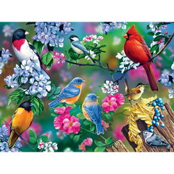 Image of 1000 Pc Puzzle – Songbird Collage