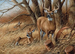 Image of Puzzle Rustic Retreat 1,000 pc- Discontinued