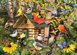 Image of Bird Cabin 1000 Pc.