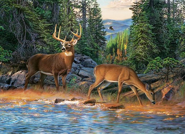 654-0345 Product Image 1