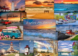 Image of Explore the Shores 1000 Pc