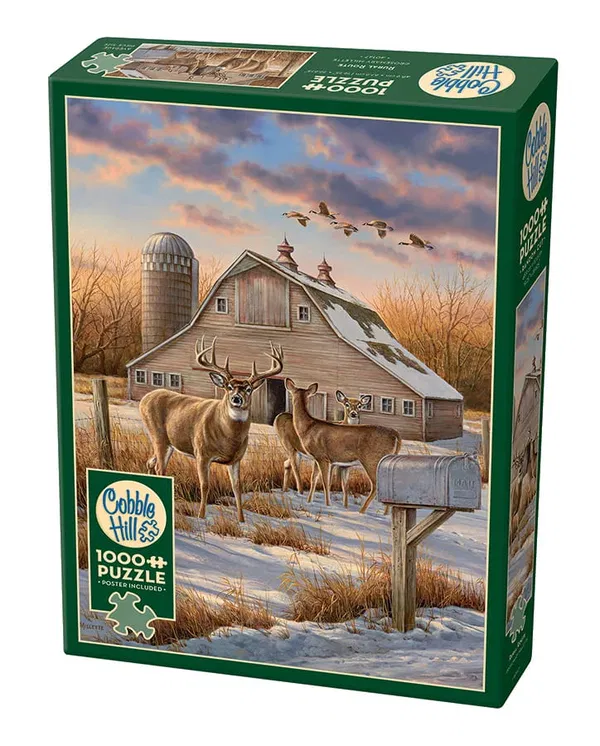 654-0556 Product Image 1