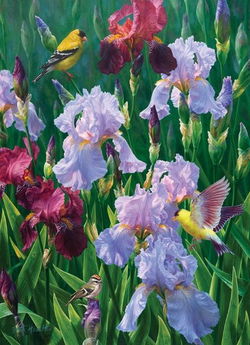 Image of 1000 Pc Puzzle – Spring Glory