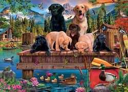 Image of 350 Pc Puzzle – Pups and Ducks