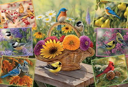 Image of Puzzle Rosemary’s Birds 2000 pc – Discontinued
