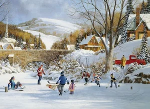 Puzzle Hockey on Frozen Lake 1000 pc