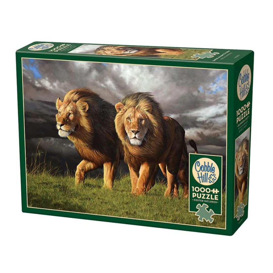 654-0679 Product Image 1