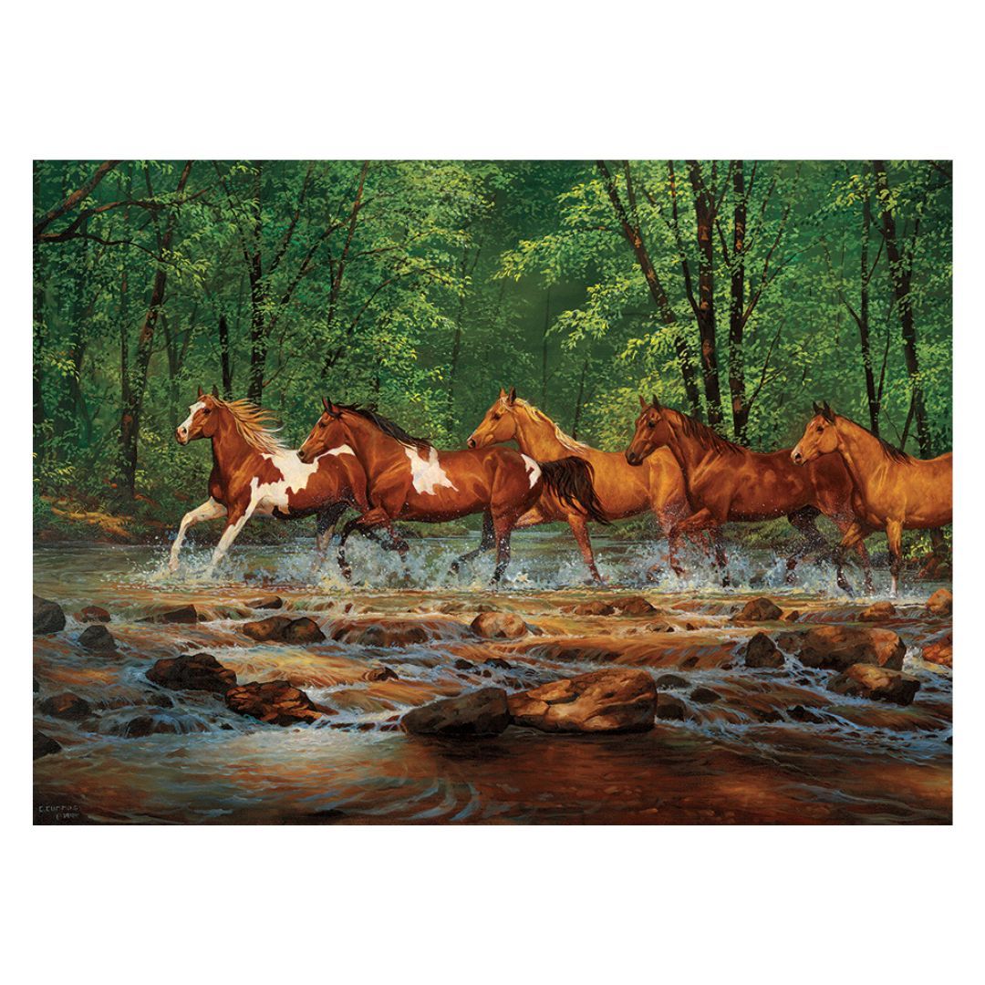 Image of 1000 Pc Puzzle – Spring Creek Run