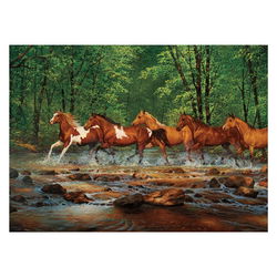 Image of 1000 Pc Puzzle – Spring Creek Run