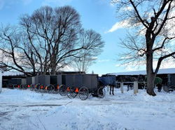 Image of Puzzle Winter Buggies 1000 pc