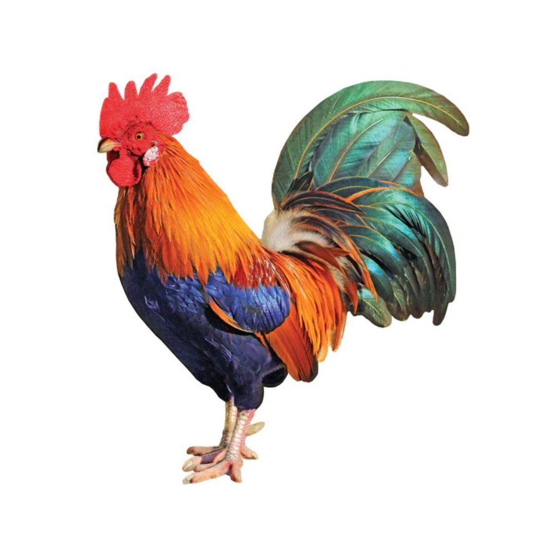 654-0804 Product Image 2