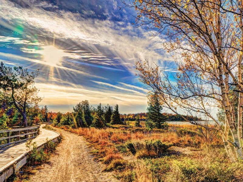 Image of 1000 Pc Puzzle Mcgregor Boardwalk