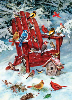 Image of Puzzle Winter Adirondack Birds 1000pc