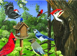 Image of Puzzle Tray Around the Birdfeeder 35 pc