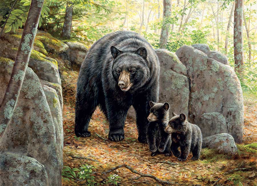 Image of Puzzle Mama Bear 1000pc