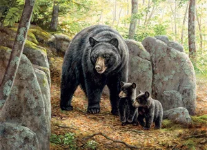 Puzzle Mama Bear 1000pc