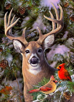 Image of Puzzle One Deer Two Cardinals 500 pc