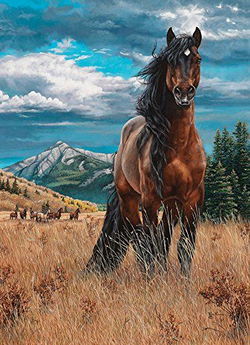 Image of 1000 Pc Puzzle Freedom (Horse)
