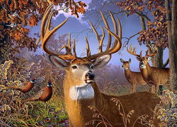 Image of Puzzle Deer and Pheasant 500 pc