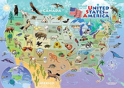 Image of Puzzle Tray USA Map 35 pc