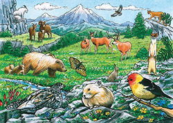 Image of Puzzle Tray Rocky Mountain Wildlife 35 pc
