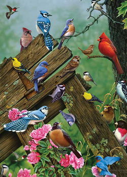 Image of Puzzle Tray Wild Gathering (Birds) 35 pc.