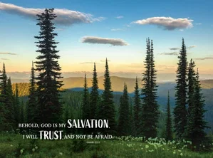 Puzzle Salvation and Trust 1000 Pc.